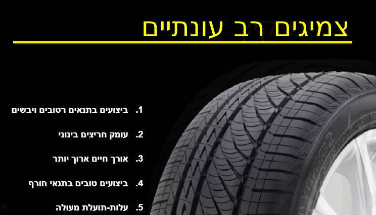 השוואה צמיגים רב עונתיים