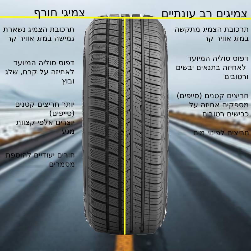 צמיגי חורף או צמיגים רב עונתיים